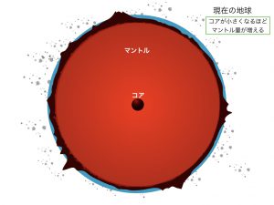 コア成長の段階図4