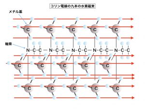 コリン電線の九本の水素磁束