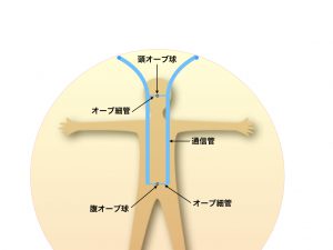 通信管構造