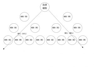 陰陽論　優化劣化図2.003
