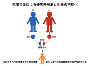 陰陽論　陰陽合体図2.005