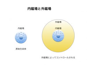 陰陽論　内磁場と外磁場図1.027