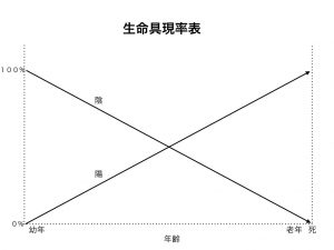 陰陽論　生命具現表図1.023