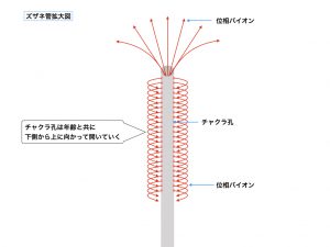ズザネ管.003