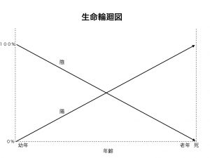 陰陽論　生命輪廻図1.019